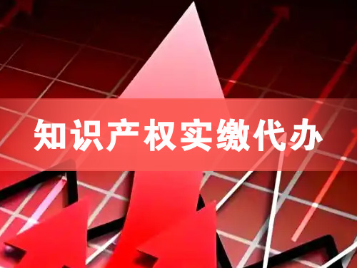 郴州知识产权实缴资本代办